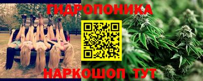 ГАЛЛЮЦИНОГЕННЫЕ ГРИБЫ Тулун