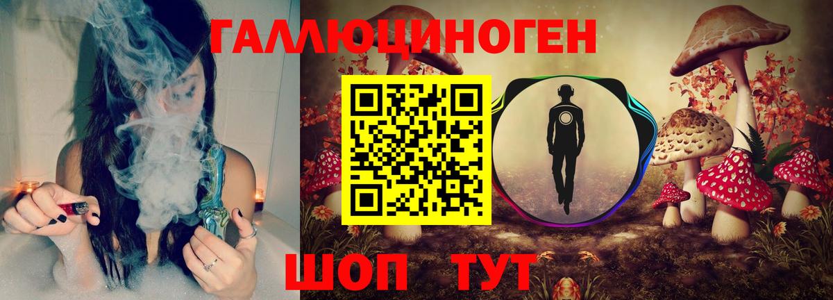 Галлюциногенные грибы прущие грибы  Вход с VPN  Большой Камень  Псилоцибиновые грибы GOLDEN TEACHER 
